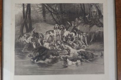 Jules Bertrand Gelibert: Le déboulé de lapin...