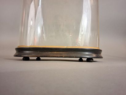 Globe ovale en verre, socle en bois noirci....