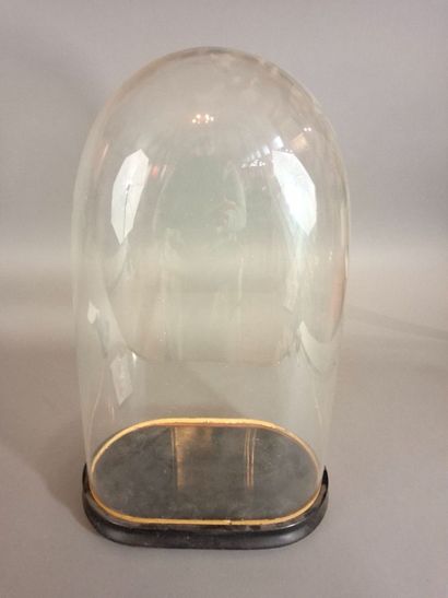 Globe ovale en verre, socle en bois noirci....
