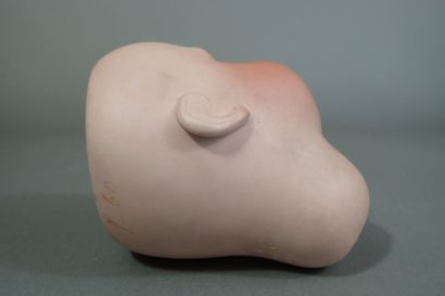 Société Française de fabrication de Bébés...