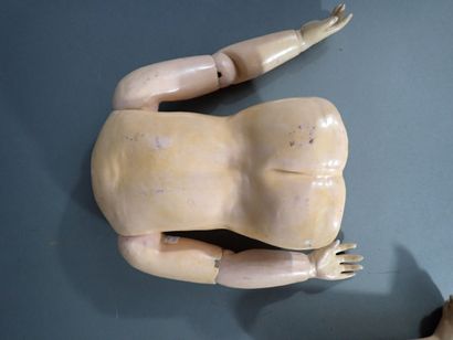 J. STEINER. Partie de corps, tronc et bras,...