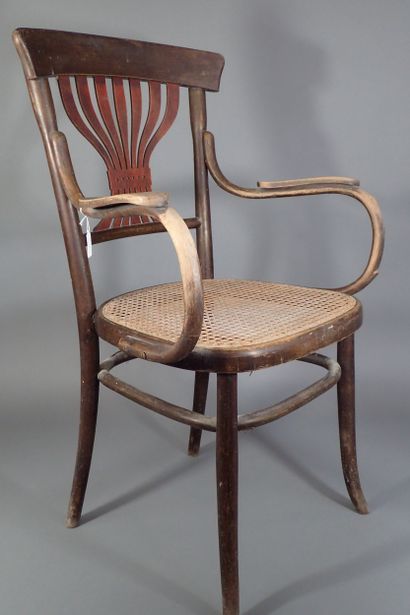 FISCHEL AUSTRIA. Fauteuil en bois thermo...