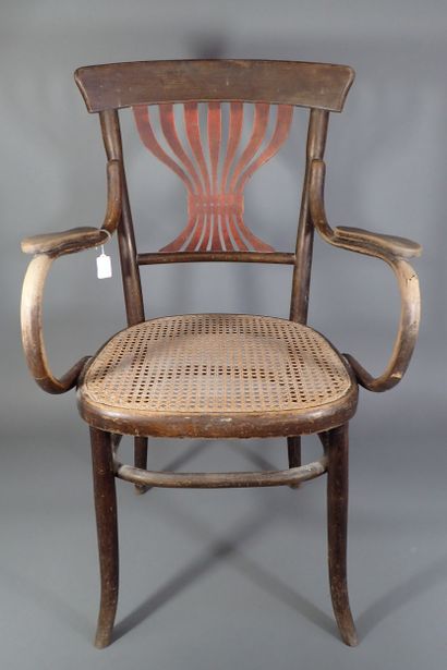 FISCHEL AUSTRIA. Fauteuil en bois thermo...