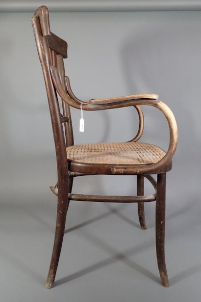 FISCHEL AUSTRIA. Fauteuil en bois thermo...