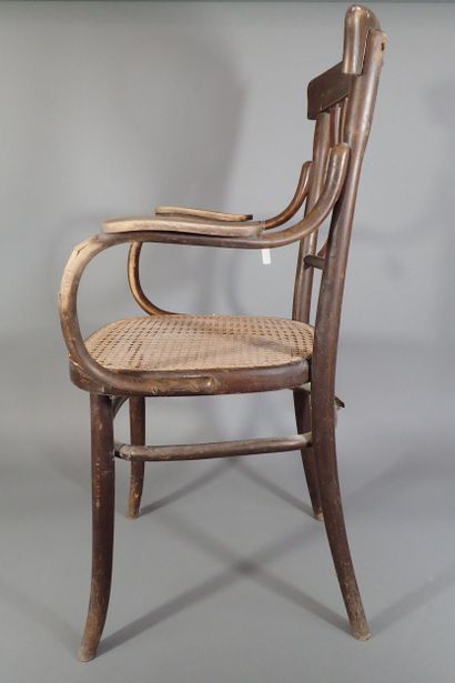 FISCHEL AUSTRIA. Fauteuil en bois thermo...
