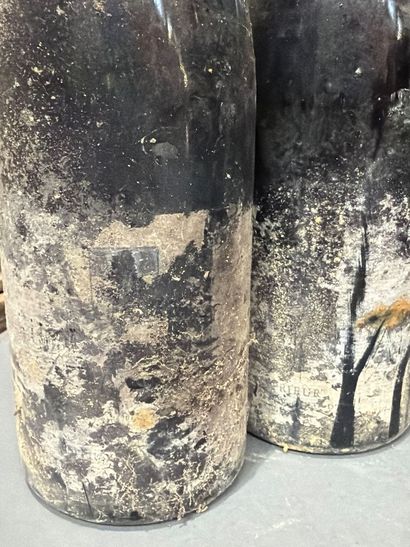 Ensemble de 12 bouteilles de vin avec étiquette...