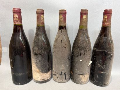 5 bouteilles de Gevray Chambertin 1988 Jean...