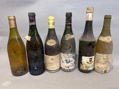 Ensemble de 6 bouteilles de vin blanc dont...