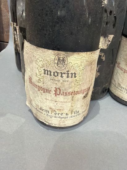 Ensemble de 12 bouteilles de vin comprenant...