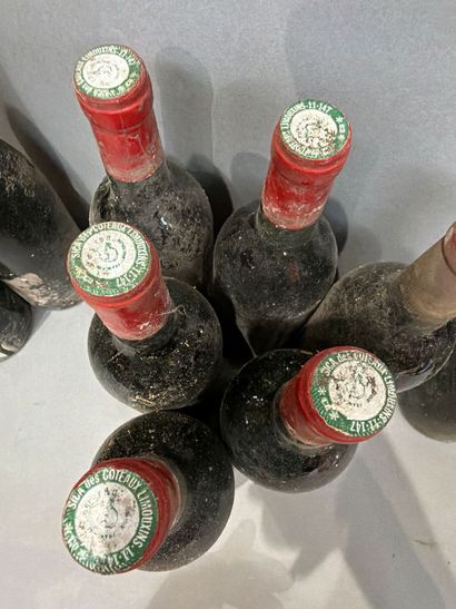 Ensemble de 12 bouteilles de vin avec étiquette...
