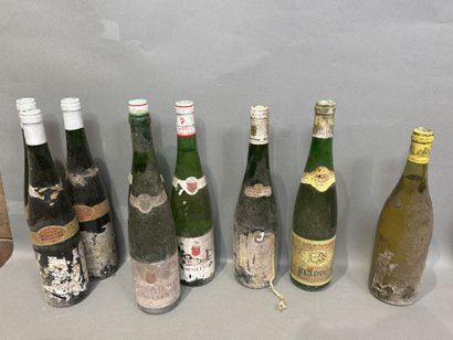 Ensemble de 8 bouteilles de vin d’Alsace...
