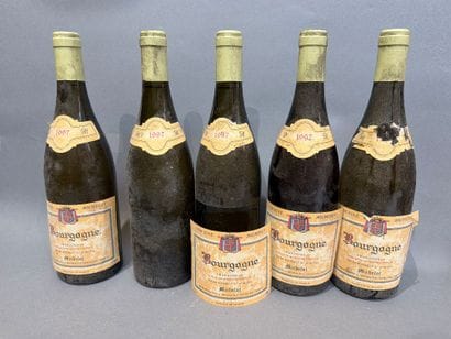 Ensemble de 5 bouteilles de vin blanc de...