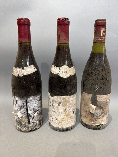3 bouteilles de Nuits-Saint-Georges dont...