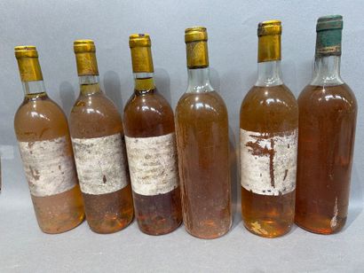 6 bouteilles de vin blanc liquoreux, étiquettes...