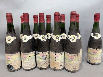 12 bouteilles de Les Verdelles 1988 Saumur...