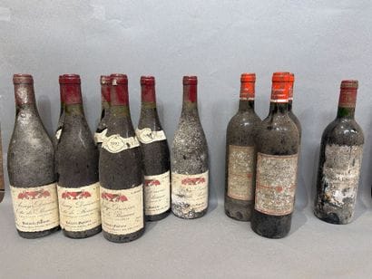 Ensemble de 12 bouteilles de vin comprenant...