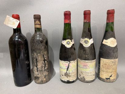 Ensemble de 5 bouteilles de vin comprenant...
