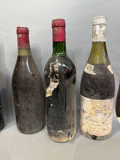 Ensemble de 12 bouteilles de vin avec étiquette...
