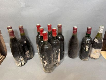 Ensemble de 12 bouteilles de vin avec étiquette...
