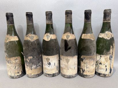 6 bouteilles de Crozes Hermitage 1988 cave...