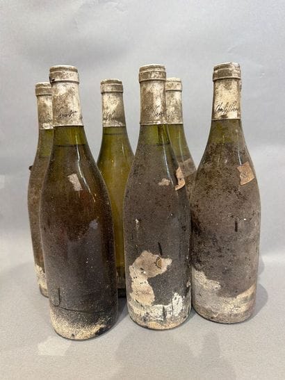 Ensemble de 7 bouteilles de vin blanc de...