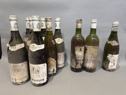 Ensemble de 12 bouteilles de vin comprenant...