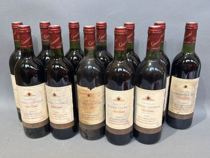 12 bouteilles de Château Cossieu-Coutelin...