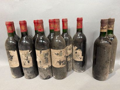 10 bouteilles de Château Saint Ahon 1987...