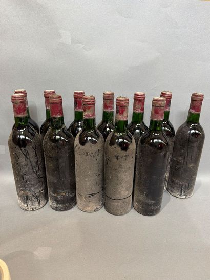 12 bouteilles de vin rouge de Bordeaux, sans...
