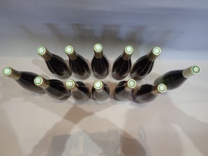12 bouteilles dont 11 bouteilles Riesling...