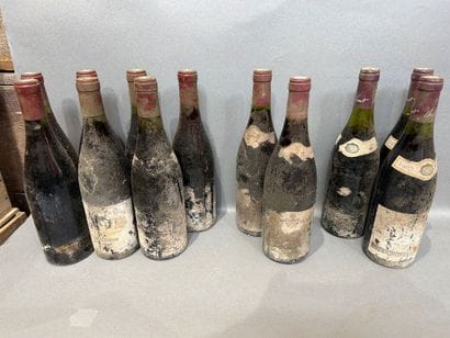 Ensemble de 12 bouteilles de vin comprenant...