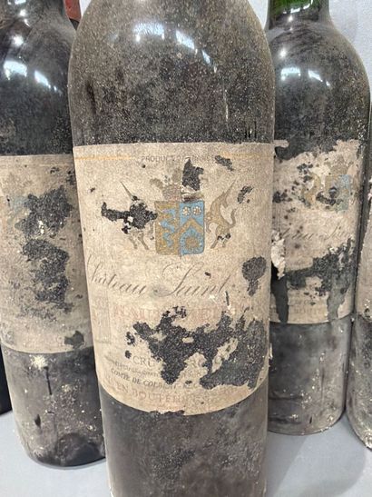 10 bouteilles de Château Saint Ahon 1987...
