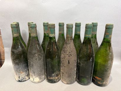 12 bouteilles de vin blanc Protheau, Millésime...