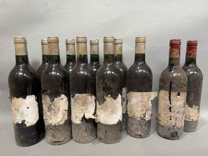 Ensemble de 12 bouteilles de vin comprenant...