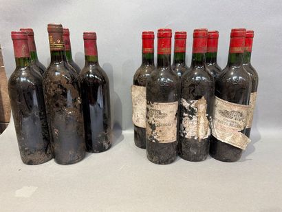 Ensemble de 12 bouteilles de vin de Bordeaux...