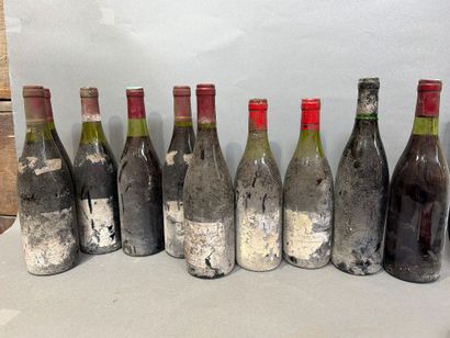 10 bouteilles de vin divers dont Touraine...