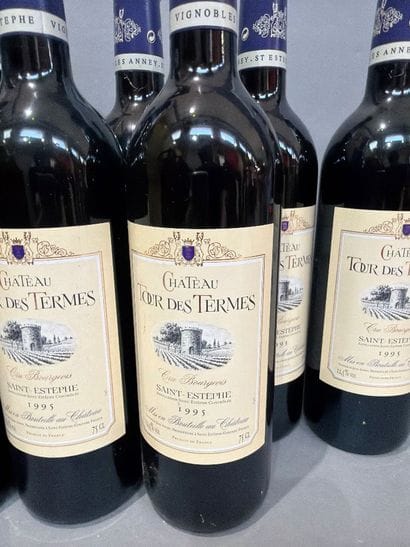 12 bouteilles de Château Tour des Termes...