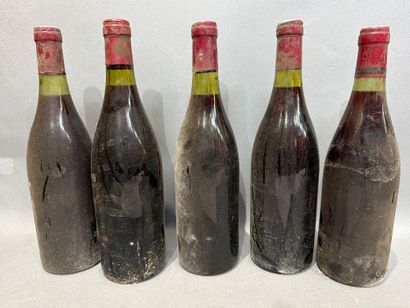 Ensemble de 5 bouteilles de vin rouge de...