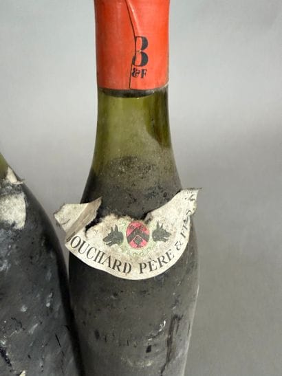 Ensemble de 12 bouteilles de vin rouge passe-tout-grain...