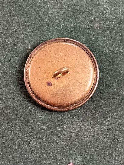 NOR. Bouton de tenue de l’équipage Sarcus...