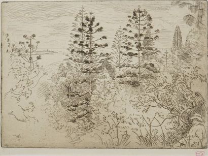 BEAUFRÈRE Adolphe, 1876-1960 Les araucarias...