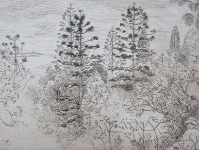 BEAUFRÈRE Adolphe, 1876-1960 Les araucarias...