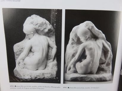 Catalogue raisonné de l'oeuvre de Alfred...