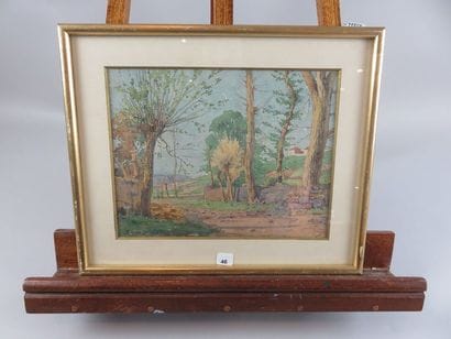 COMPANYO J. Louis, 1870-1958 Arbres et muret...