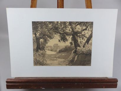 COMPANYO J. Louis, 1870-1958 Paysages divers...