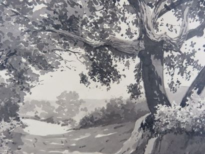 COMPANYO J. Louis, 1870-1958 Paysages divers...