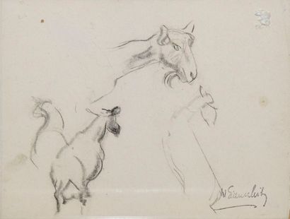 EISENSCHITZ Willy, 1889-1974 Cervidés - Chèvres...