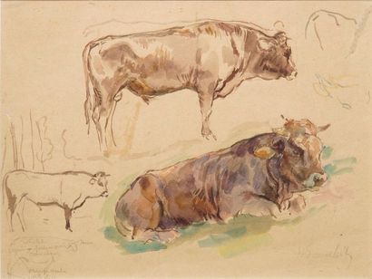 EISENSCHITZ Willy, 1889-1974 Taureaux feuille...