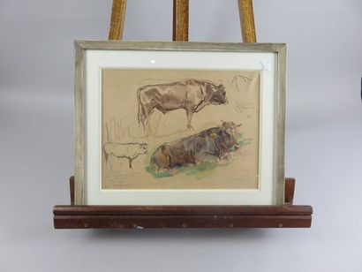 EISENSCHITZ Willy, 1889-1974 Taureaux feuille...