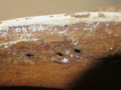 Bergère en bois laqué crème, dossier arrondi,...